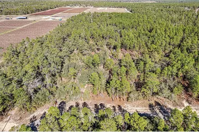 8949 N Farrington Drive, Citrus Springs, FL 34433 - Photo 5