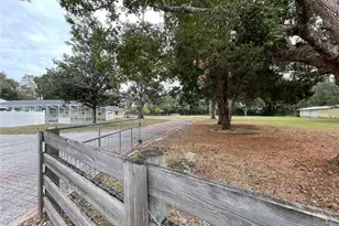 202 S Warfield Ave, Wildwood, FL 34785 - Photo 3