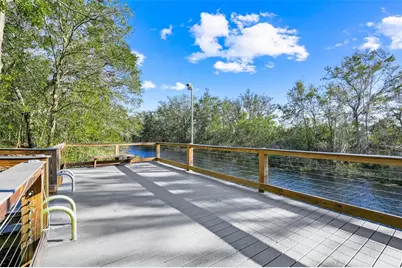 16332 Blooming Cherry Drive, Groveland, FL 34736 - Photo 45