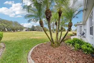 8013 Pine Hollow Dr, Mount Dora, FL 32757 - Photo 21