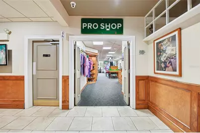 8013 Pine Hollow Drive, Mount Dora, FL 32757 - Photo 35