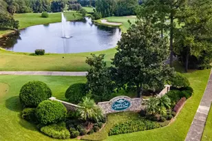8013 Pine Hollow Dr, Mount Dora, FL 32757 - Photo 3