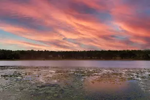 16758 SE 181st Terrace, Weirsdale, FL 32195 - Photo 29