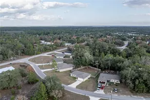 5 Malauka Radial Cir, Ocklawaha, FL 32179 - Photo 41