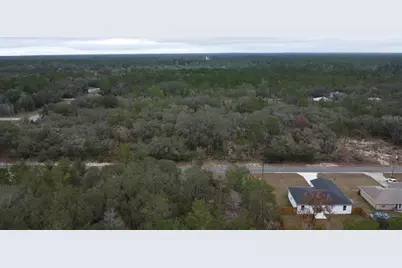 Malauka Drive, Ocklawaha, FL 32179 - Photo 3