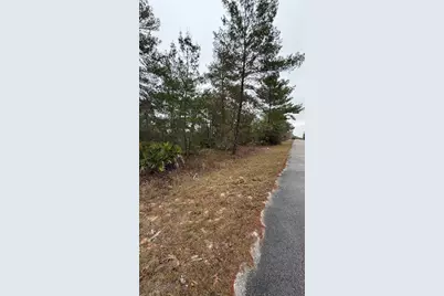 Malauka Drive, Ocklawaha, FL 32179 - Photo 7