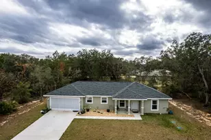 96 Fisher Way Trail, Ocklawaha, FL 32179 - Photo 1