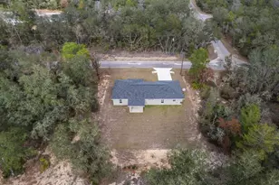 96 Fisher Way Trail, Ocklawaha, FL 32179 - Photo 23