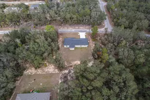 96 Fisher Way Trail, Ocklawaha, FL 32179 - Photo 21