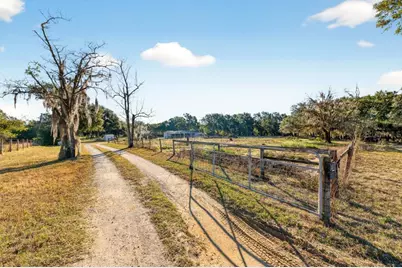 40100 Jim Scotts Road, Leesburg, FL 34788 - Photo 37