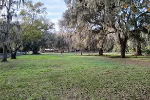 Cty Rd 434B, Lake Panasoffkee, FL 33538 - Photo 1