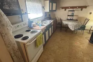 12512 Cr 685, Webster, FL 33597 - Photo 13