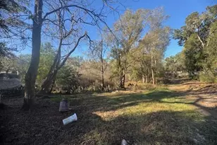 12512 Cr 685, Webster, FL 33597 - Photo 5