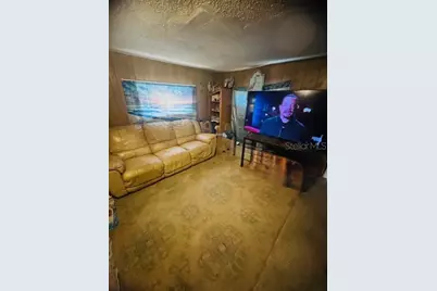 12512 Cr 685, Webster, FL 33597 - Photo 11