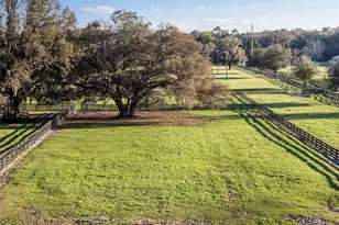 815 SE 145th St, Summerfield, FL 34491 - Photo 55