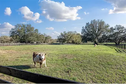 815 SE 145th Street, Summerfield, FL 34491 - Photo 5