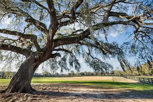 815 SE 145th St, Summerfield, FL 34491 - Photo 17