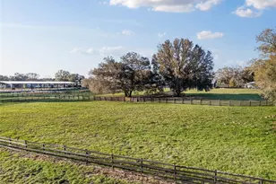 815 SE 145th St, Summerfield, FL 34491 - Photo 47