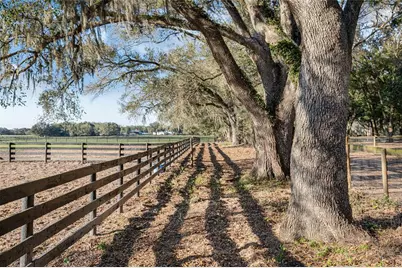 815 SE 145th Street, Summerfield, FL 34491 - Photo 23