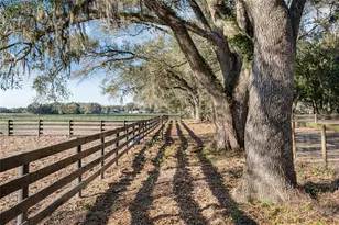 815 SE 145th St, Summerfield, FL 34491 - Photo 23