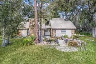 11398 Cr 682, Webster, FL 33597 - Photo 3