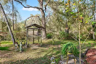 11398 Cr 682, Webster, FL 33597 - Photo 41