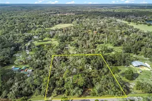 11398 Cr 682, Webster, FL 33597 - Photo 1