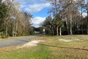 2543 Cr 426C, Lake Panasoffkee, FL 33538 - Photo 1