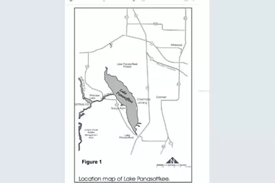 [Address not provided], Lake Panasoffkee, FL 33538 - Photo 7