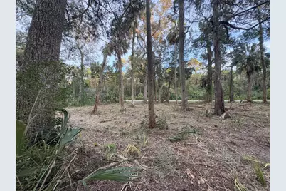 11905 W Eldred Lane, Homosassa, FL 34448 - Photo 5