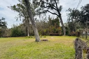 11417 SW 42nd Terrace, Webster, FL 33597 - Photo 21