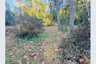 4547 Cr 692, Webster, FL 33597 - Photo 3