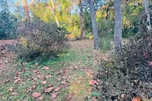 4547 Cr 692, Webster, FL 33597 - Photo 3