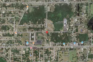 Tbd East McDonald Ave, Eustis, FL 32726 - Photo 1