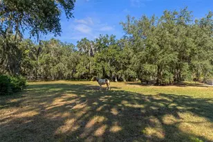 [Address not provided], Okahumpka, FL 34762 - Photo 79