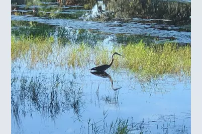 25100 Pine Hill, Leesburg, FL 34748 - Photo 85