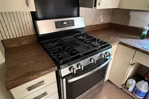 211 S Prescott St, Eustis, FL 32726 - Photo 5