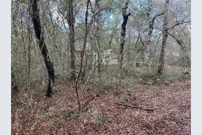 9280 SE 194th Court, Ocklawaha, FL 32179 - Photo 3