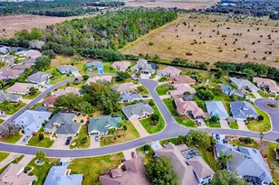 5588 Gulf Stream St, Tavares, FL 32778 - Photo 41