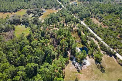 233 Azalea Lane, Osteen, FL 32764 - Photo 5