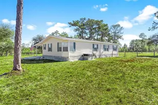 233 Azalea Ln, Osteen, FL 32764 - Photo 49