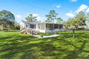 233 Azalea Ln, Osteen, FL 32764 - Photo 45