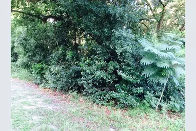 111 Frederick Street, Interlachen, FL 32148 - Photo 3