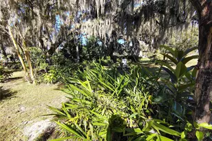 3537 E C 462, Wildwood, FL 34785 - Photo 19