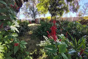 3537 E C 462, Wildwood, FL 34785 - Photo 27