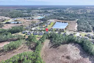 256 Yellow Snapdragon Dr, Davenport, FL 33837 - Photo 77