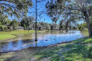 2314 Hillside Dr, Mount Dora, FL 32757 - Photo 43