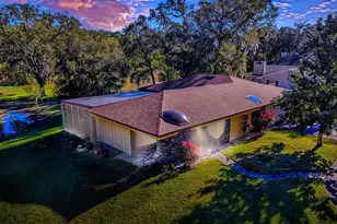 2314 Hillside Dr, Mount Dora, FL 32757 - Photo 69