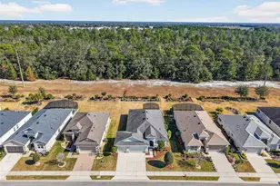 8460 Bridgeport Bay Cir, Mount Dora, FL 32757 - Photo 41