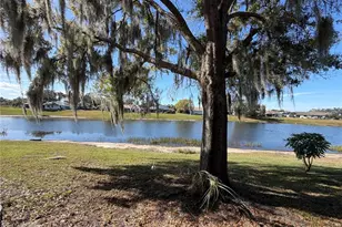 11742 Whitewing Ct, Orlando, FL 32837 - Photo 17